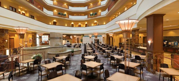 达拉斯弗赖拉辛希尔顿安泊水疗酒店&会议中心(Embassy Suites by Hilton Dallas Frisco Hotel & Convention Center)图片