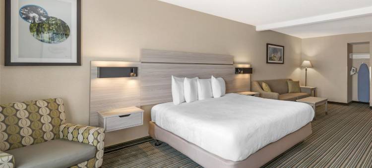 双景贝斯特韦斯特优质套房酒店(Best Western Plus Twin View Inn  Suites)图片