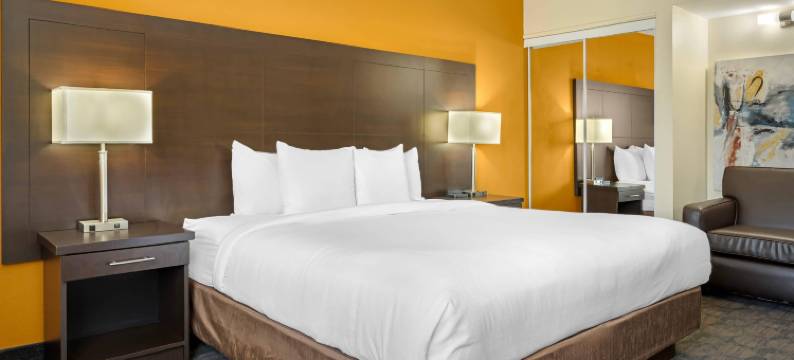 品质酒店(Quality Inn & Suites)图片