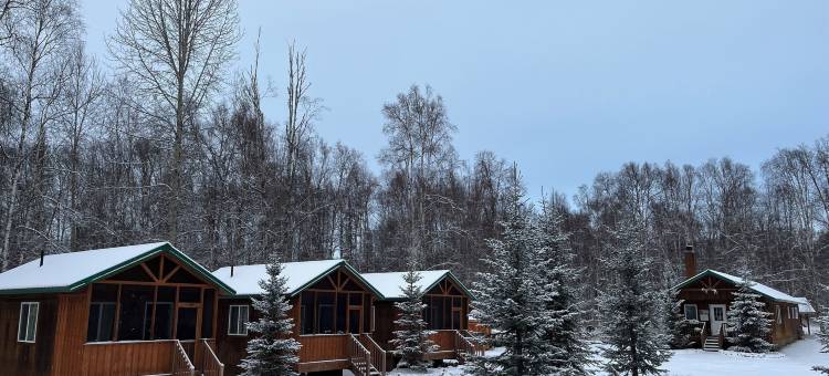 塔基特纳荒野山林小屋出租酒店(Talkeetna Wilderness Lodge & Cabin Rentals)图片