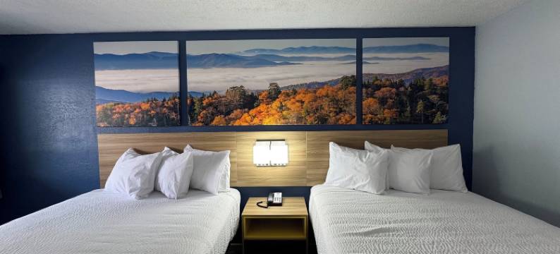 温德姆戴斯酒店夏洛特大学(Days Inn by Wyndham Charlotte University)图片