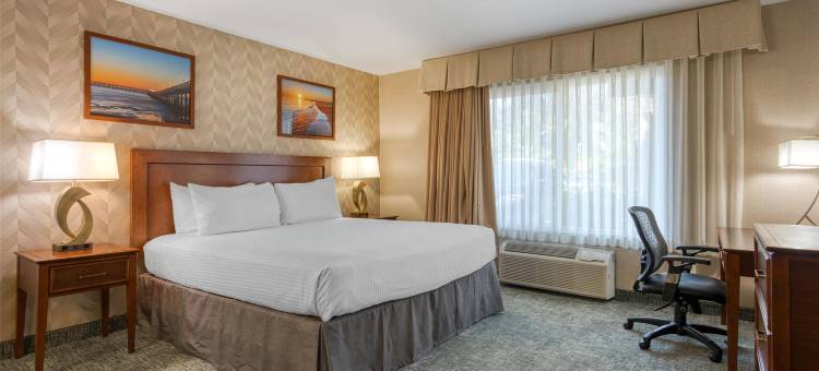 七海贝斯特韦斯特酒店(Best Western Seven Seas)图片