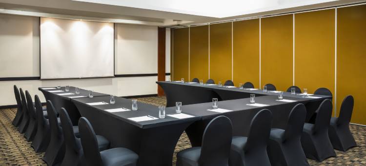 菲斯塔快捷酒店圣路易斯波托西东方(Fiesta Inn Express San Luis Potosí Oriente)图片