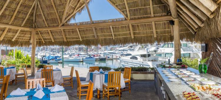 火烈鸟瓦拉塔码头酒店(Flamingo Vallarta Hotel & Marina)图片