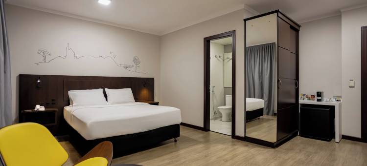 南雅拉瓜美居酒店(Mercure Jaragua do Sul)图片