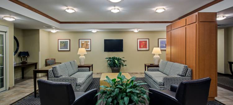 Candlewood Suites 佩里斯堡(Candlewood Suites Perrysburg)图片