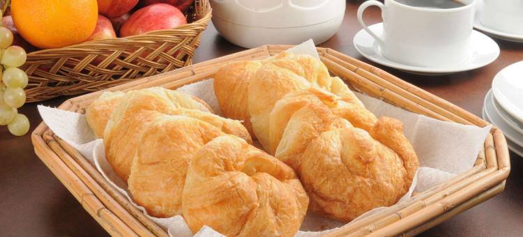 埃利贾伊東部斯特拉特福汽车旅馆(Stratford Motor Inn East Ellijay)图片