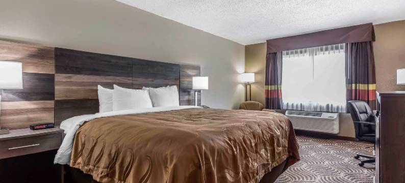 凯艺套房酒店(Quality Inn & Suites)图片