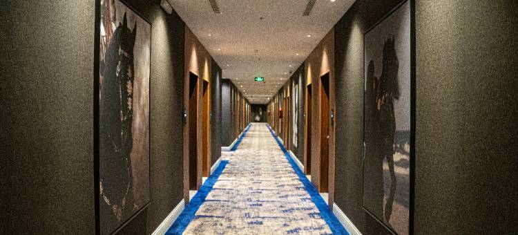 DANA QASSIM酒店住宅(Dana Hotel)图片