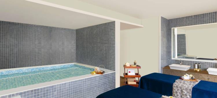 诺富特齐普尔会议中心酒店(Novotel Jaipur Convention Centre)图片