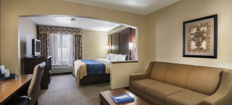 康威舒适套房酒店(Comfort Inn & Suites Conway)图片