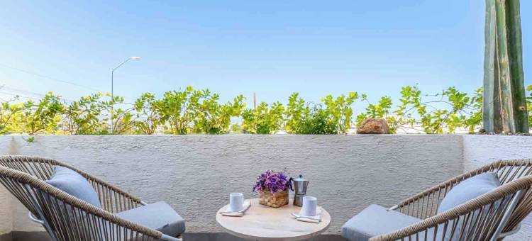 卡波市中心的605塔楼(605 Tower Downtown Cabo)图片