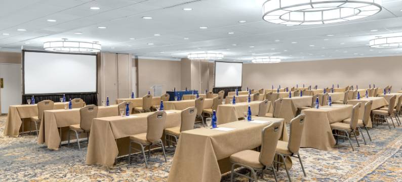 麦克莱恩泰森希尔顿逸林酒店(DoubleTree by Hilton McLean Tysons)图片