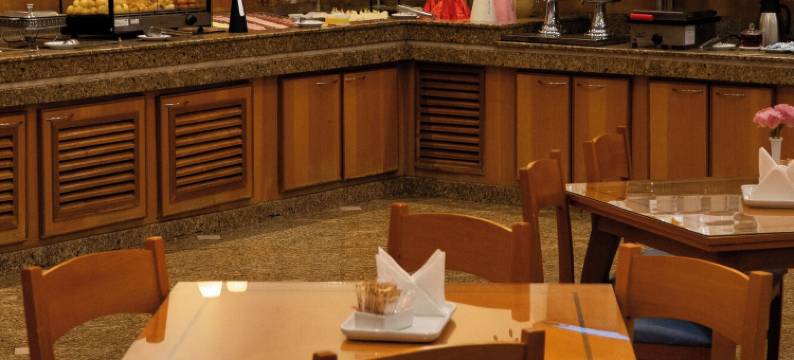 皮拉西卡巴新生活酒店 - 亚特兰大(New Life Piracicaba by Atlantica)图片