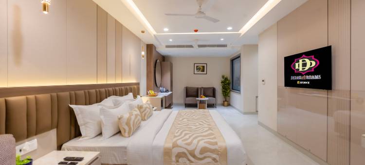 德里梦想 - 豪华酒店(The Delhi Dreams - A Luxury Hotel)图片