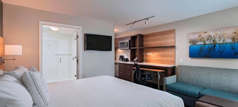 莱克兰TownePlace套房酒店(TownePlace Suites Lakeland)图片