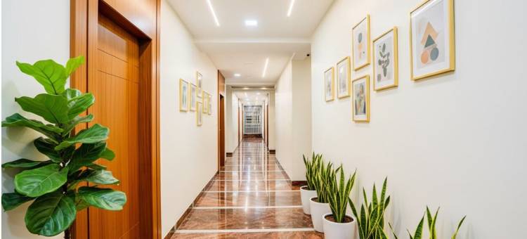 拉贾蒙德里Monday酒店(Monday Hotels Rajahmundry)图片