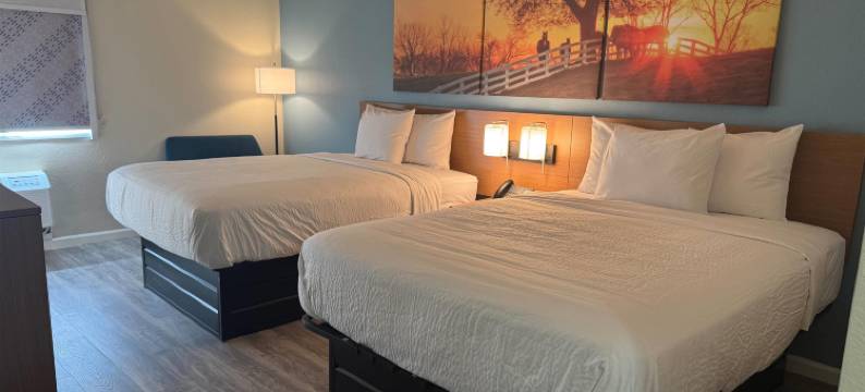 温德姆费斯塔斯戴斯酒店及套房(Days Inn & Suites by Wyndham Festus)图片