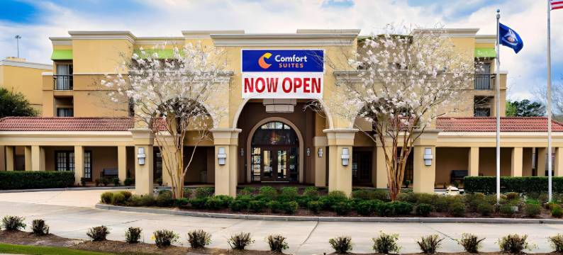 康福特套房巴吞鲁日南部I-10(Comfort Suites Baton Rouge South I-10)图片