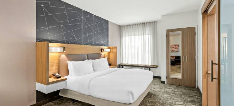 哥伦布西SpringHill Suites万豪酒店(SpringHill Suites by Marriott Columbus West)图片