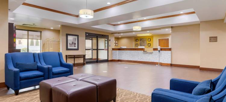 约翰逊城舒适套房酒店-近大学城(Comfort Suites Johnson City Near University)图片