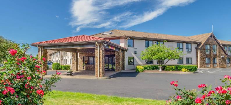 舒适套房酒店(Comfort Inn & Suites)图片