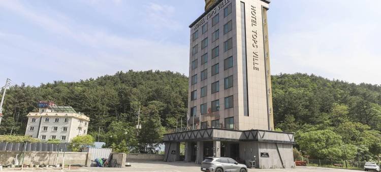 托普斯维尔酒店(Hotel TopsVille)图片