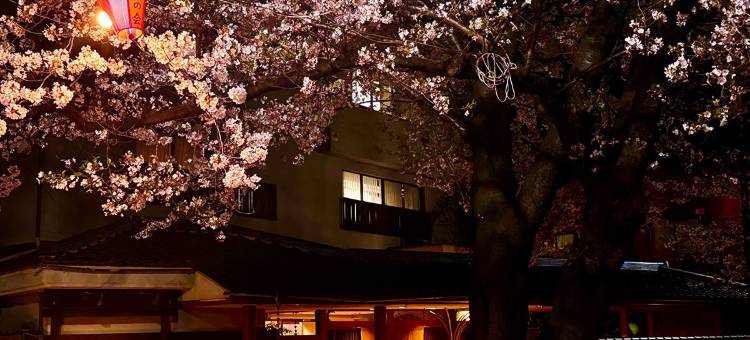 旬樹庵菊水(Togurakamiyamadaonsen Shunjyuan Kikusui Ryokan)图片