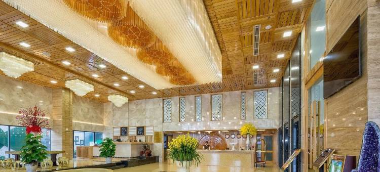 如明广场岘港酒店(Nhu Minh Plaza Danang Hotel)图片