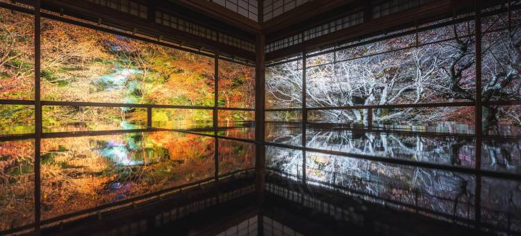 OMO5 京都三条 by 星野集团(OMO5 Kyoto Sanjo by Hoshino Resorts)图片