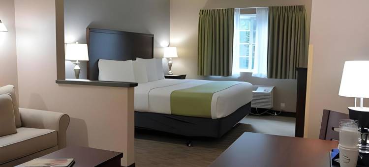 杜邦费尔布里奇套房酒店(FairBridge Inn & Suites DuPont)图片