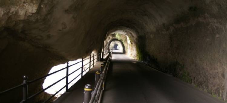 露樱酒店中津站前店(Hotel Route-Inn Nakatsu Ekimae)图片