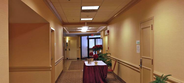 华盛顿 - 中心/白宫假日酒店(Holiday Inn WASHINGTON-CENTRAL/WHITE HOUSE by IHG)图片