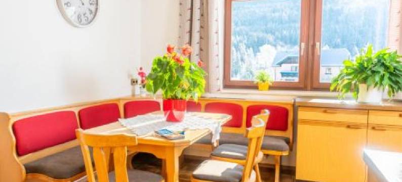 Appartement Lasshofer图片