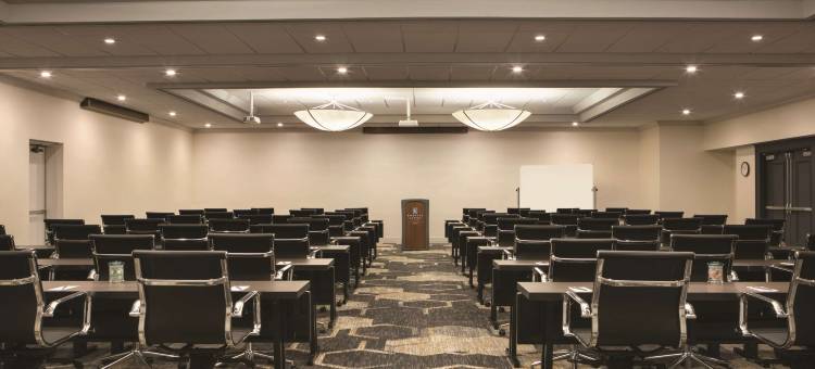 里士满希尔顿安泊酒店(Embassy Suites by Hilton Richmond)图片