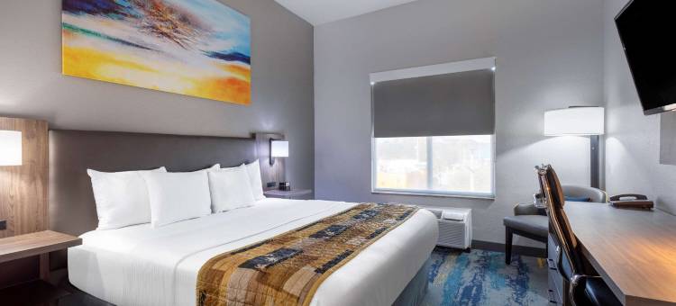 坦帕中心拉昆塔温德姆套房酒店(La Quinta Inn & Suites by Wyndham Tampa Central)图片