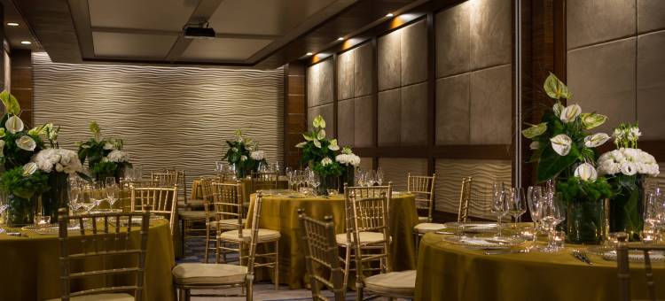 伊兹密尔万丽酒店(Renaissance Izmir Hotel)图片