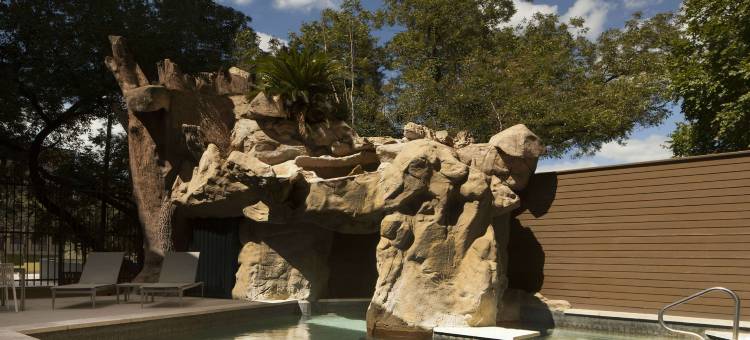 奥斯汀市中心希尔顿花园酒店(Hilton Garden Inn Austin Downtown)图片