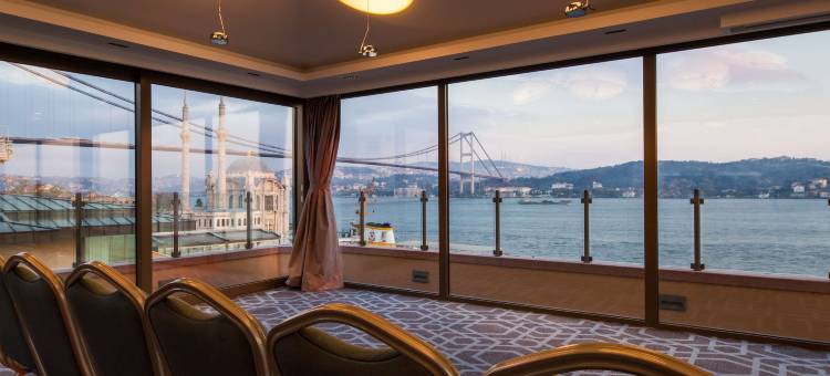 伊斯坦布尔丽笙蓝标博斯普鲁斯酒店(Radisson Blu Bosphorus Hotel, Istanbul)图片