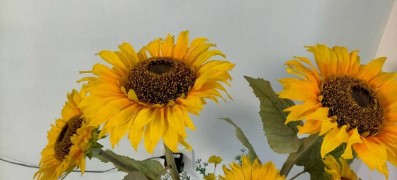 齐德隆冬强日租房公寓(中华路1号分店)图片