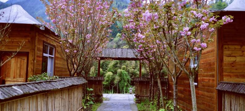 平武禅茶清谷民宿图片