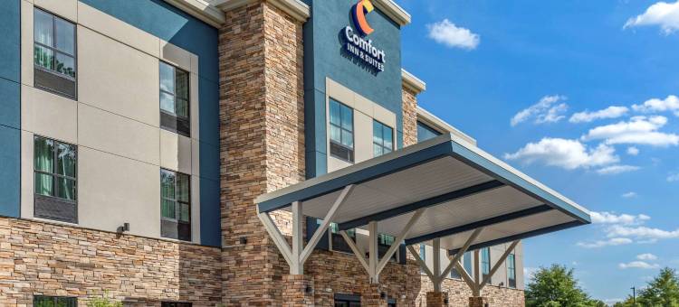 舒适套房酒店(Comfort Inn & Suites)图片