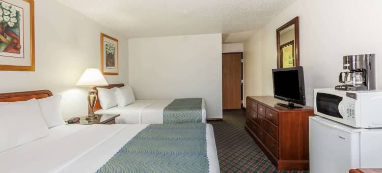 艾温DFW机场南温德姆速8酒店(Super 8 by Wyndham Irving DFW Airport/South)图片