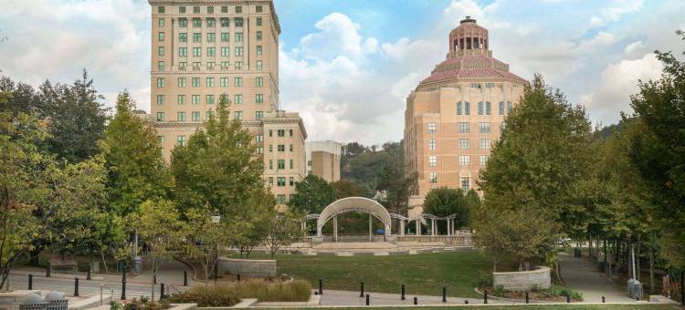 阿什维尔北戴斯酒店(Days Inn by Wyndham Asheville Downtown North)图片