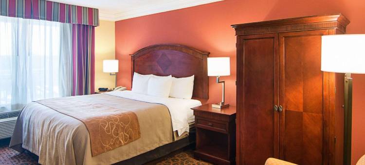 休斯顿基-卡蒂舒适套房酒店(Comfort Inn & Suites Houston West-Katy)图片