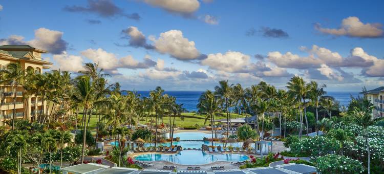 卡普鲁亚茂宜丽思卡尔顿度假村(The Ritz-Carlton Maui, Kapalua)图片