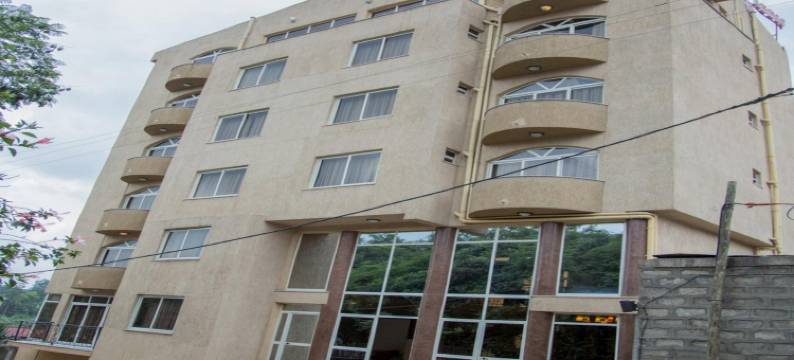 亚的斯家乡酒店(Home Town Addis Hotel)图片