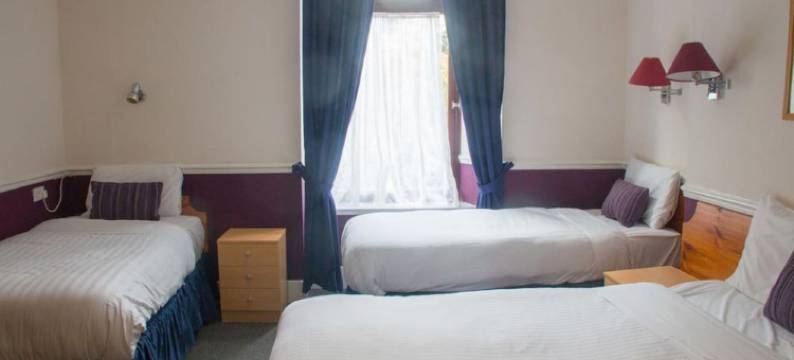 威洛酒店(The Willow)图片