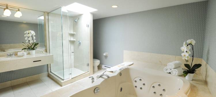 Holiday Inn 尼亚加拉瀑布 - 由瀑布(Holiday Inn Niagara Falls - by the Falls)图片