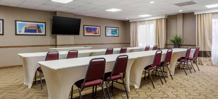 桃树角落舒适套房酒店(Comfort Inn & Suites Peachtree Corners)图片